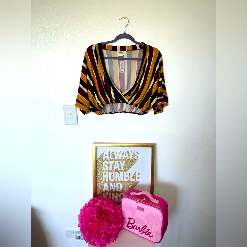 Striped V-Neck Crop Top